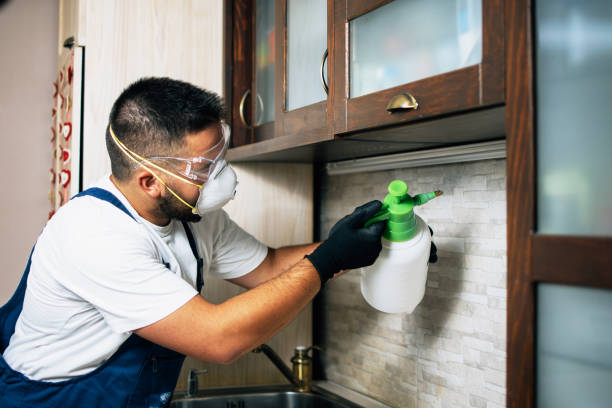 Best Affordable Pest Control Services  in Commercial Point, OH