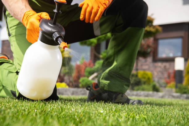 Best Insect Control  in Commercial Point, OH