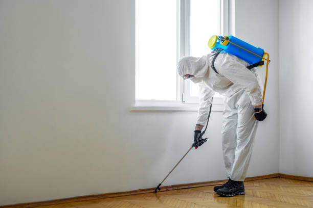 Trusted Commercial Point, OH Pest Control Experts