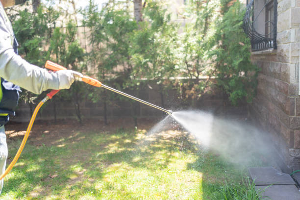 Best Termite Control Services  in Commercial Point, OH