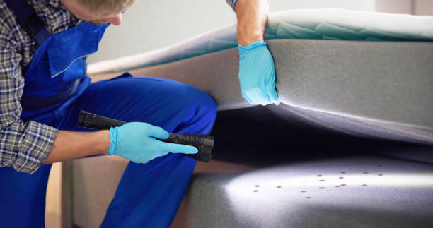 Best Rat Extermination Near Me  in Commercial Point, OH