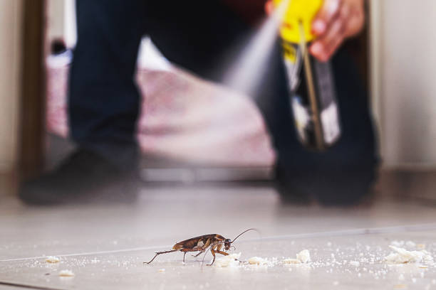 Best Best Pest Control Companies  in Commercial Point, OH