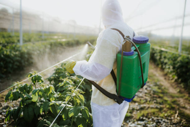Best Cockroach Control Services  in Commercial Point, OH